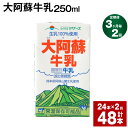 【ふるさと納税】【定期便】【3ヶ月毎2回】大阿蘇牛乳 250ml 24本 計48本（24本×2回） 牛乳 ミルク 成分無調整牛乳 乳飲料 乳性飲料 熊本県産 国産 九州 熊本県 菊池市 送料無料