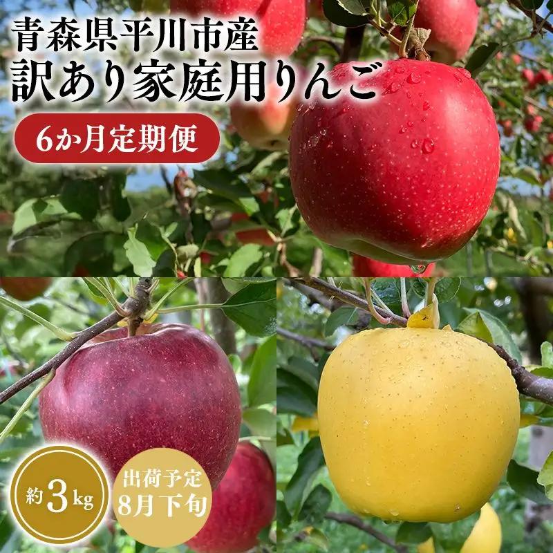 りんご 家庭用 6か月定期便 約3kg 青森県平川市産 [hi-0036-010]
