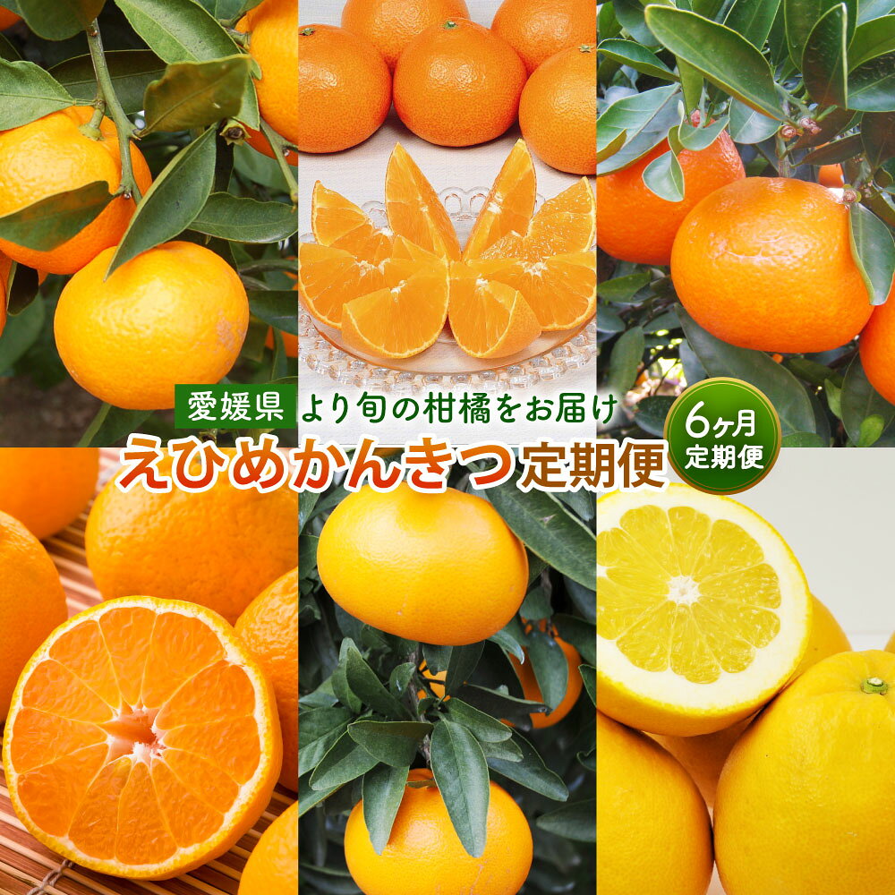 【ふるさと納税】【6回定期便】えひめかんきつ 定期便 愛媛県産 柑橘 6種 温みかん 日の丸ゴールド 紅まどんな 伊予柑 デコポン せとか 河内晩柑 日の丸ゴールド ミカン 蜜柑 晩柑 フルーツ 果物 お取り寄せ 送料無料 【2026年11月上旬～2027年4月下旬お届け】 (46-1)