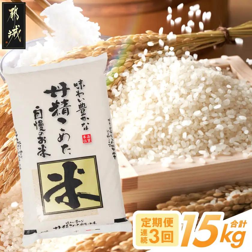 ≪3回お届け!≫都城産米と国産米ブレンド 5kg〔T27-3-33-001-5kg〕_(都城市) お米 国産ブレンド米 5kg 3回 定期便 精米