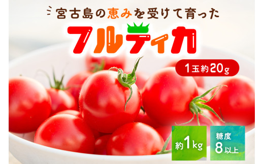 PN01　宮古島産 トマト 【フルティカ】約1kg 糖度8以上