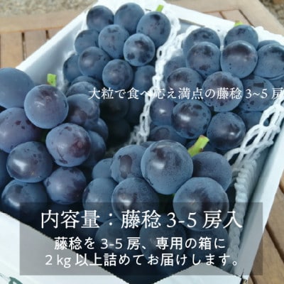 【きよとうファーム】自慢のボッケーネ(藤稔)大粒で食べ応え満点 3-5房/計2.0kg～(岡山県産)【配送不可地域：離島】