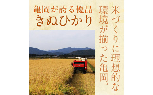 無洗米 2kg 真空パック 京都丹波産 キヌヒカリ［令和7年産米］ ※受注精米 《米 白米 きぬひかり 2キロ 小分け 無洗米 大嘗祭供納品種 亀岡そだち》 ※北海道・沖縄・離島への配送不可