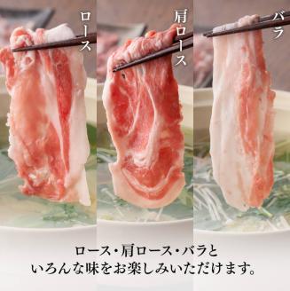 宮崎県産豚肉 小野さんちの"豚肉５種セット” 2.5kg　豚肉[E10506]
