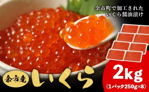 余市産 いくら 500g × 4 2kg  北海道産 冷凍 鮭いくら 冷凍いくら いくら醤油漬け 化粧箱 贈り物 ギフト 秋鮭 秋鮭の卵 とろける食感 はじける食感 北海道 余市町_Y020-0708