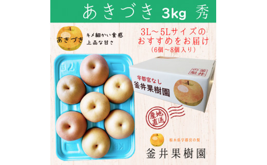 あきづき 3kg 6～8玉 | 栃木県産 宇都宮市 梨 なし あきづき フルーツ 果物 旬 産地直送 ※2026年9月～発送