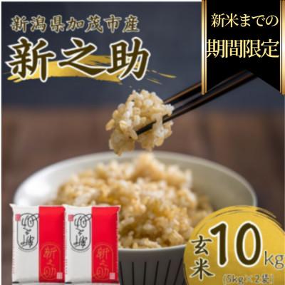 ふるさと納税 加茂市 【期間限定・個数限定】令和7年産　新之助　玄米10kg(5kg×2袋)　特別企画