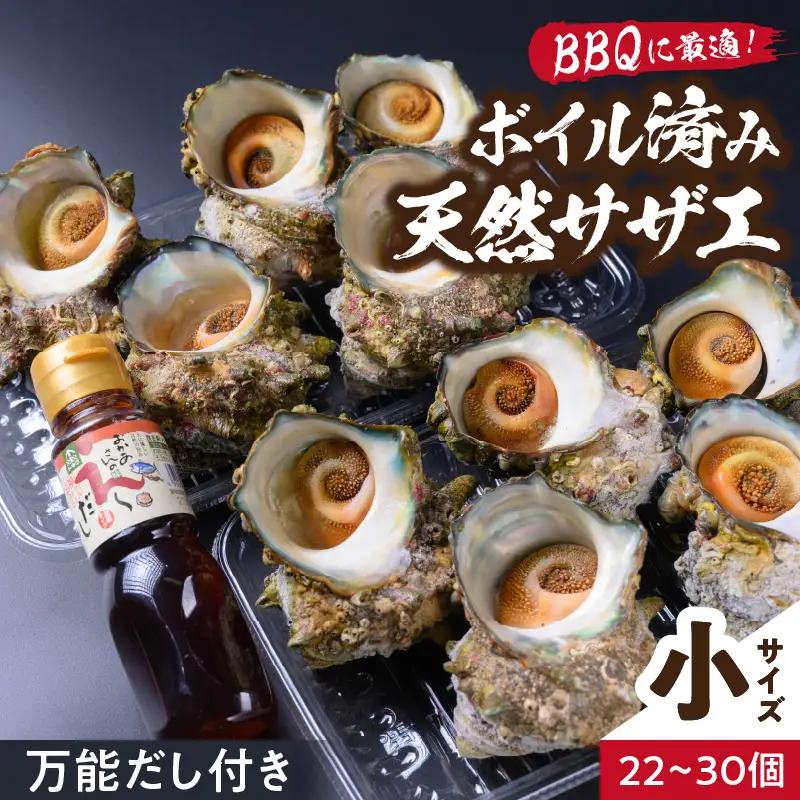 天然サザエボイル1.6㎏ 小サイズさざえ万能ダシ付き