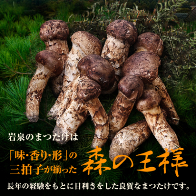 【2026秋発送】【訳アリ】 岩泉まつたけ  300g　家庭用にどうぞ【配送不可地域：離島】【1423709】