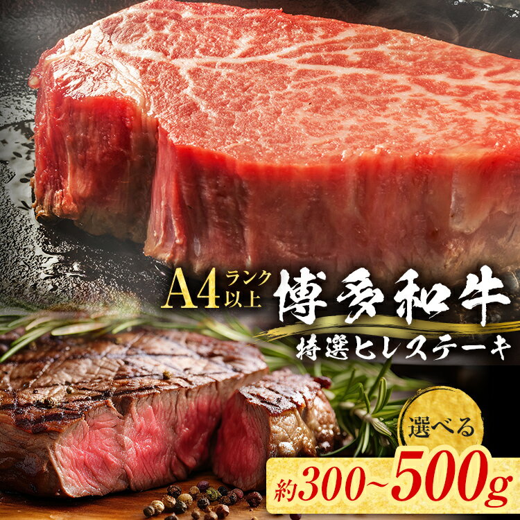 【ふるさと納税】選べる【博多和牛】 A4ランク以上 特選 ヒレ ステーキ 300g／400g／500g 牛肉 肉 ヒレ肉 ステーキ 焼肉 和牛 精肉 福岡 ブランド牛 国産牛 牛ヒレステーキ 赤身 高級 希少部位 フィレ お取り寄せグルメ