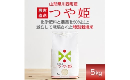 
令和5年産　特別栽培米　つや姫　5kg【1144529】
