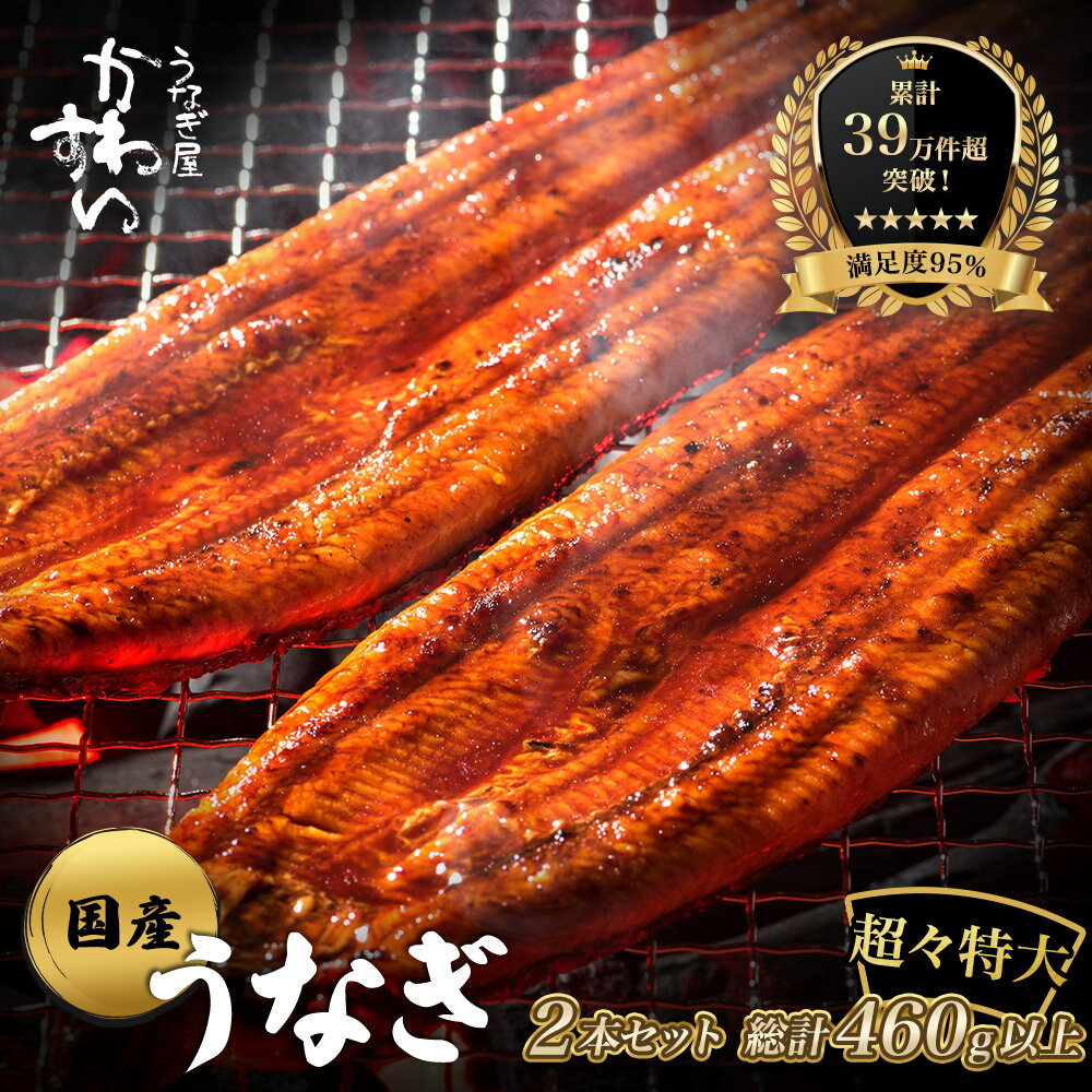 【ふるさと納税】【楽天うなぎ部門13年連続第1位！】 超特大 国産 うなぎ 鰻 蒲焼き 2本セット（1尾230g以上）〈 うなぎ屋 かわすい 〉 送料無料 肉厚 ふっくら 蒲焼き 高評価レビュー 人気 ギフト 贈答用 お歳暮 土用丑の日 父の日 和歌山県 有田市 （A632-2）
