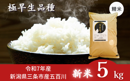 新米 五百川 5kg 新米 新潟県産 新米 [極早生] 新米 令和7年産 新米 三条市  [外山敏雄商店]