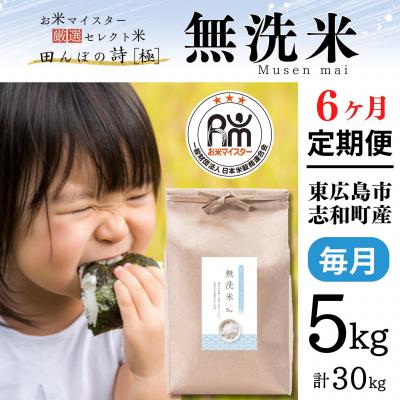ふるさと納税 東広島市 【定期便】令和7年産 5kg 【6ヵ月連続お届け】 計30kg 広島県産 無洗米 厳選