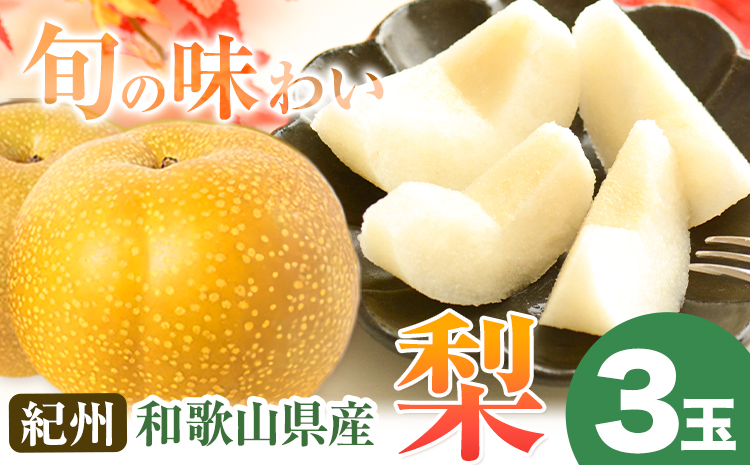 紀州和歌山県産の梨 3玉 化粧箱入 魚鶴商店《8月中旬-9月上旬出荷》和歌山県 日高川町 和歌山県産 梨 なし ナシ 贈り物 ギフト(F)