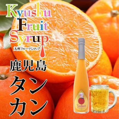 ふるさと納税 水俣市 九州を飲む! 九州果実 シロップ タンカン 500ml 1本 【福田農場】
