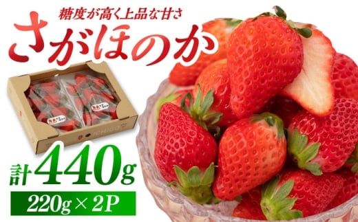 【先行予約】さがほのか 220g×2パック  【鐘ヶ江農園】 [IBH018]