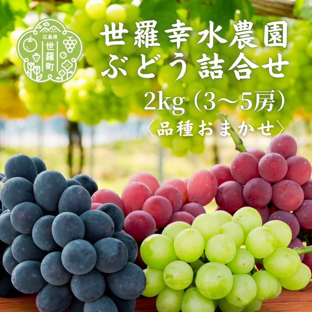【ふるさと納税】【贈答用】せらぶどう2kg （3～5房）【先行予約・数量限定】ぶどう ブドウ フルーツ 果物 くだもの 産地直送 ギフト 世羅【2025年9月中旬以降順次発送】A005-07