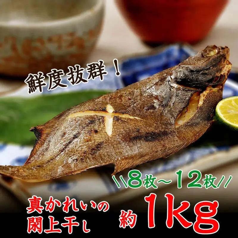 真かれいの閖上干し
