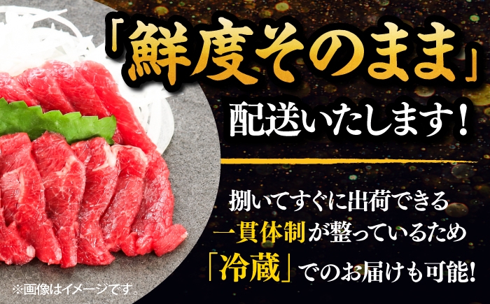 熊本 ばさし バサシ 馬刺し 1万円以下 10000円以下 5000円以上 5千円以上 5,000円以上