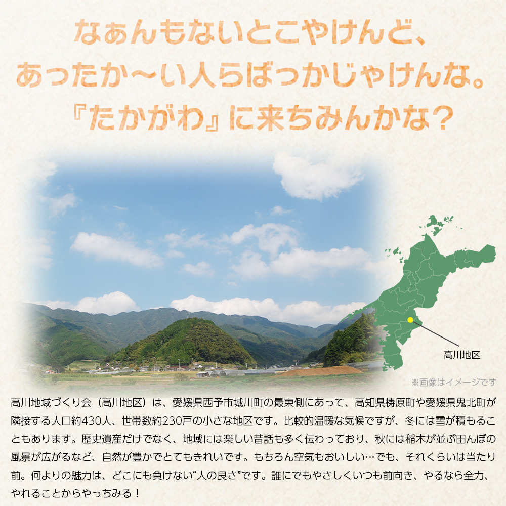 ＜ぼくらの穴神鍾乳洞発見物語（絵本）＞ 1冊 全30ページ A4サイズ えほん 冊子 オリジナル 高川地域づくり会 愛媛県 西予市