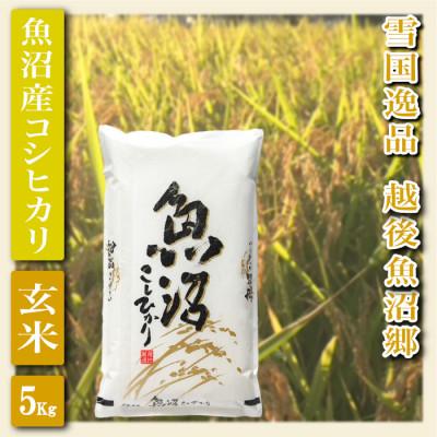 ふるさと納税 魚沼市 令和7年産【雪国逸品 玄米5Kg】越後魚沼郷 魚沼産コシヒカリ