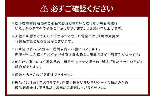 【2026年11月上旬-中旬発送予定】訳あり　りんご（ぐんま名月）約10㎏