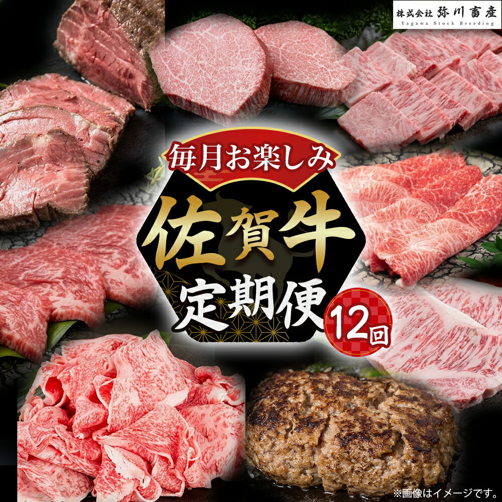 【ふるさと納税】佐賀牛 毎月お楽しみ便 12回コース 定期便