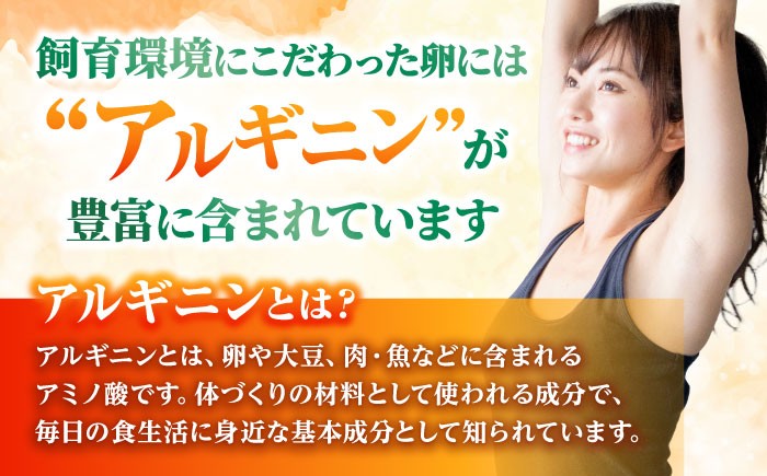 卵 定期便 アルギニン 元気たまご 20個 自然栽培 たまご 鶏卵 平飼い卵