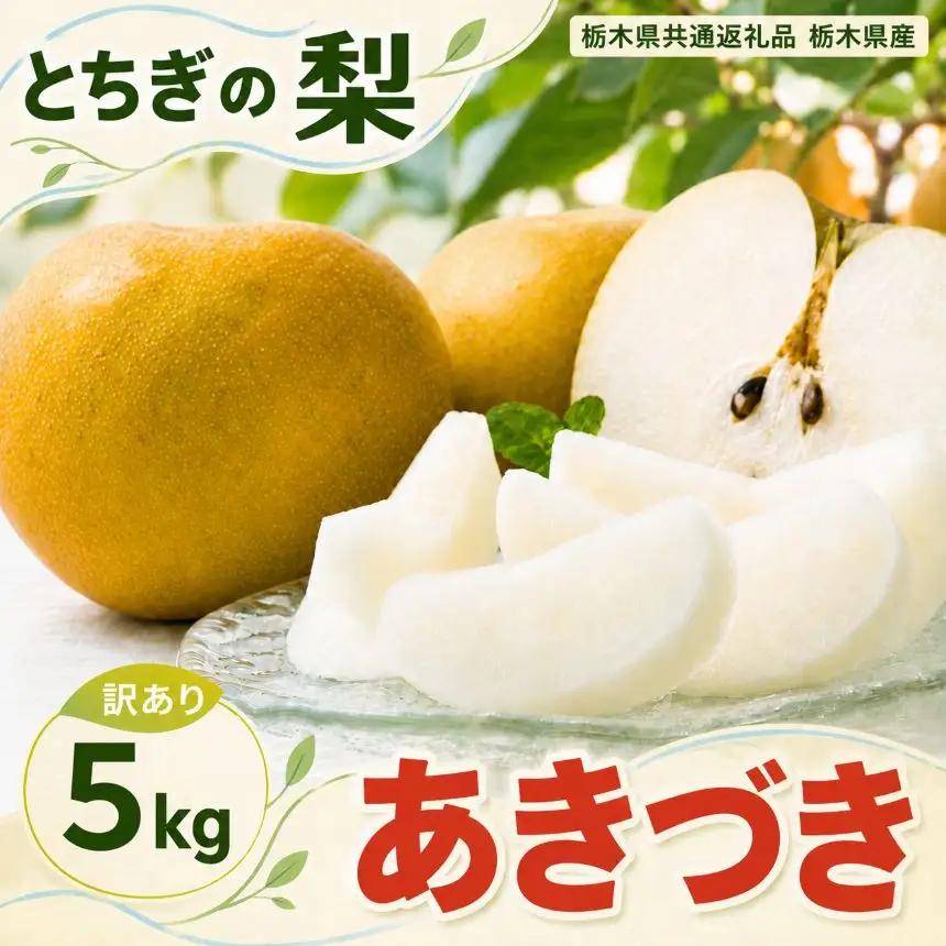 梨 あきづき 訳あり品 5kg 【栃木県共通返礼品】栃木県産