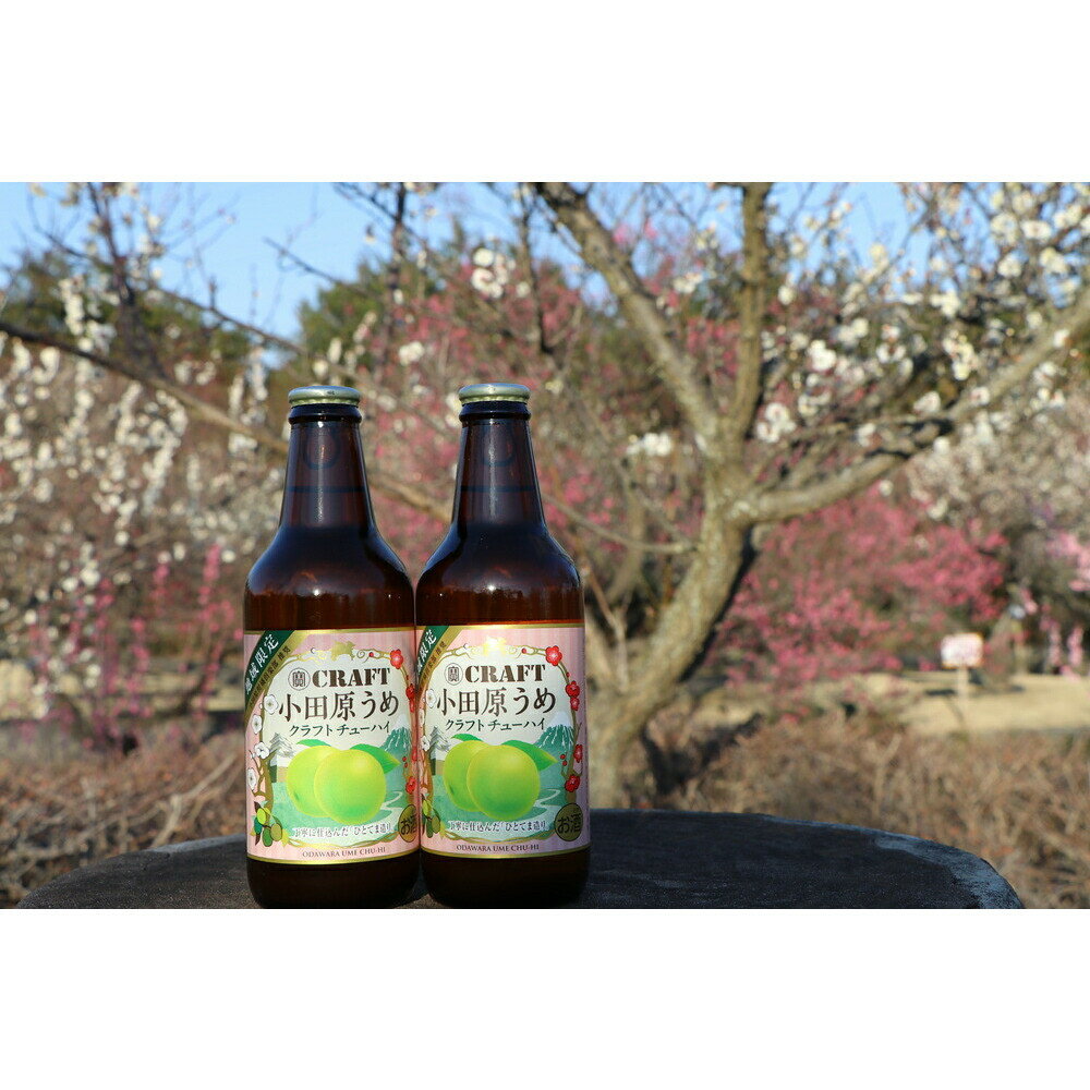 【ふるさと納税】小田原うめクラフトチューハイ　48本セット | 小田原市 神奈川県産 梅使用 クラフトチューハイ 風味豊か 爽やか 炭酸飲料 アルコール飲料