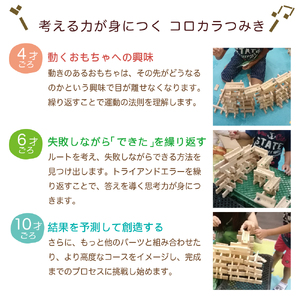 つみきのスタートセット からからつみき3種類セット100ピースギフトボックス入り