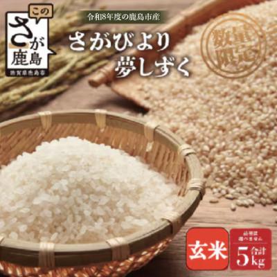 ふるさと納税 鹿島市 【令和8年度産 予約】 鹿島市産 [さがびよりor夢しずく] 5kg 1袋 【品種指定不可】 玄米
