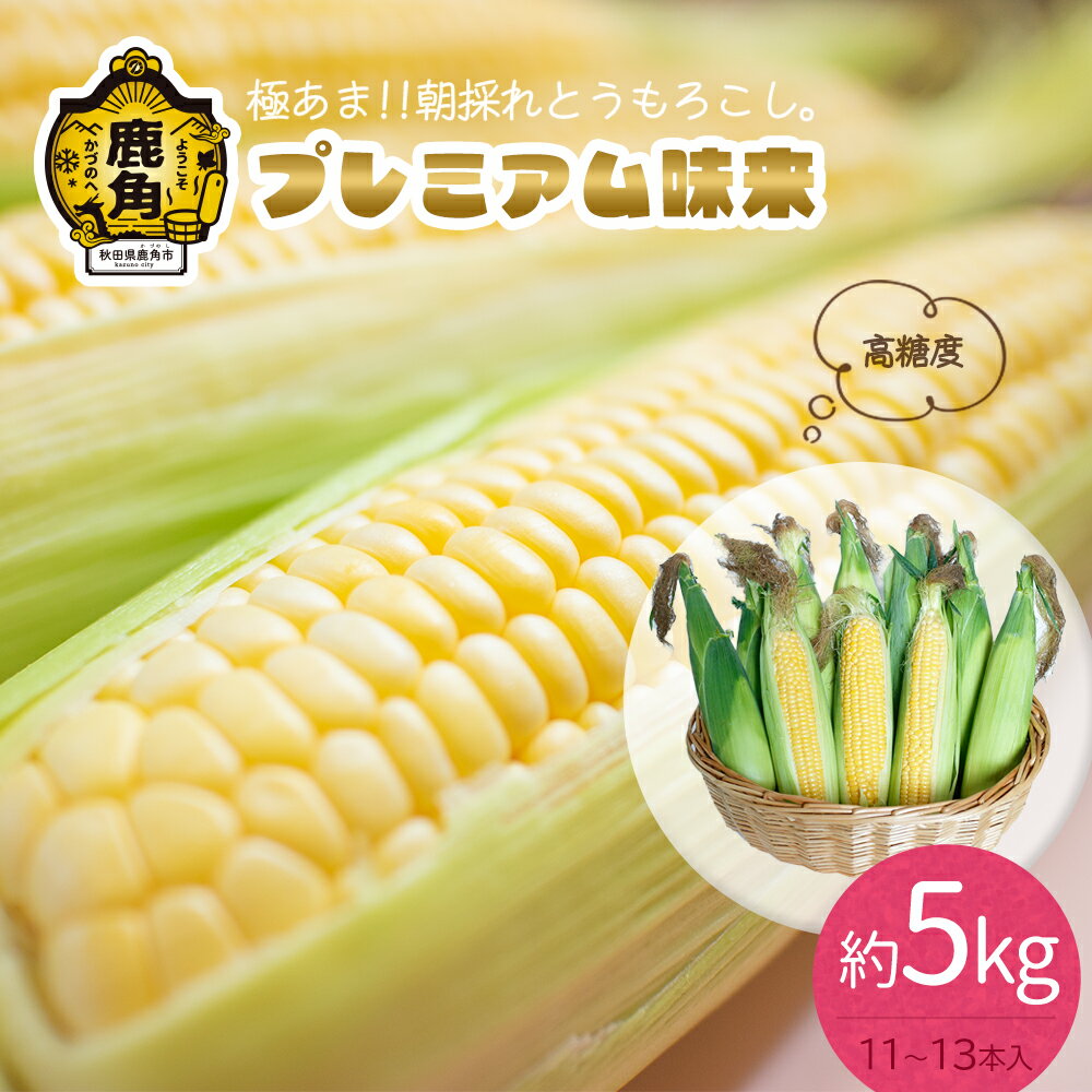 【ふるさと納税】《 先行予約 》 とうもろこし プレミアム味来 約 5kg（11～13本）朝採り 甘い 秋田県 鹿角産 新鮮 野菜 安全 トウモロコシ スイートコーン 中元 お歳暮 母の日 父の日 グルメ ギフト 故郷 秋田 あきた 鹿角市 鹿角 送料無料 【さとう農園】