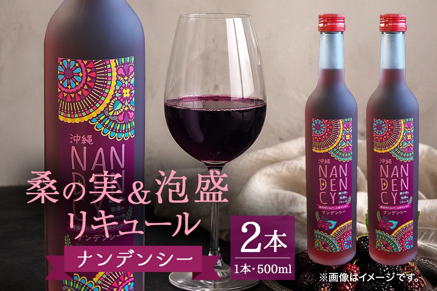 
                  沖縄ナンデンシー（500ml×2本） | 沖縄県 浦添市 沖縄 健康 飲料 発酵食品 栄養価 美容 健康志向 ナンデンシー
                