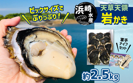 浜崎水産の天草天領岩かき 約2.5kg |  牡蠣 岩牡蠣 カキ 牡蠣 岩牡蠣 カキ 牡蠣 岩牡蠣 カキ 牡蠣 岩牡蠣 カキ 牡蠣 岩牡蠣 カキ 牡蠣 岩牡蠣 カキ 牡蠣 岩牡蠣 カキ 牡蠣 岩牡蠣 カキ 牡蠣 岩牡蠣 カキ 牡蠣 岩牡蠣 カキ 牡蠣 岩牡蠣 カキ 牡蠣 岩牡蠣 カキ 牡蠣 岩牡蠣 カキ 牡蠣 岩牡蠣 カキ 牡蠣 岩牡蠣 カキ 牡蠣 岩牡蠣 カキ 牡蠣 岩牡蠣 カキ 牡蠣 岩牡蠣 カキ 牡蠣 岩牡蠣 カキ 牡蠣 岩牡蠣 カキ 牡蠣 岩牡蠣 カキ 牡蠣 岩牡蠣 カキ 牡蠣 岩牡蠣 カキ 牡蠣 