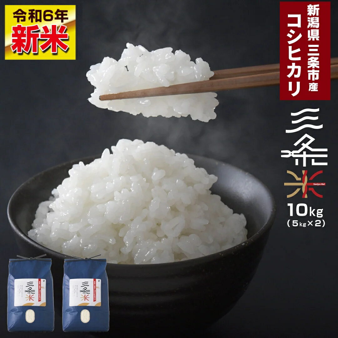 【ふるさと納税】新潟県三条市産 コシヒカリ 三条米 10kg コシヒカリ 美味しいこしひかり 直前精米 アーネスト 【016S035】