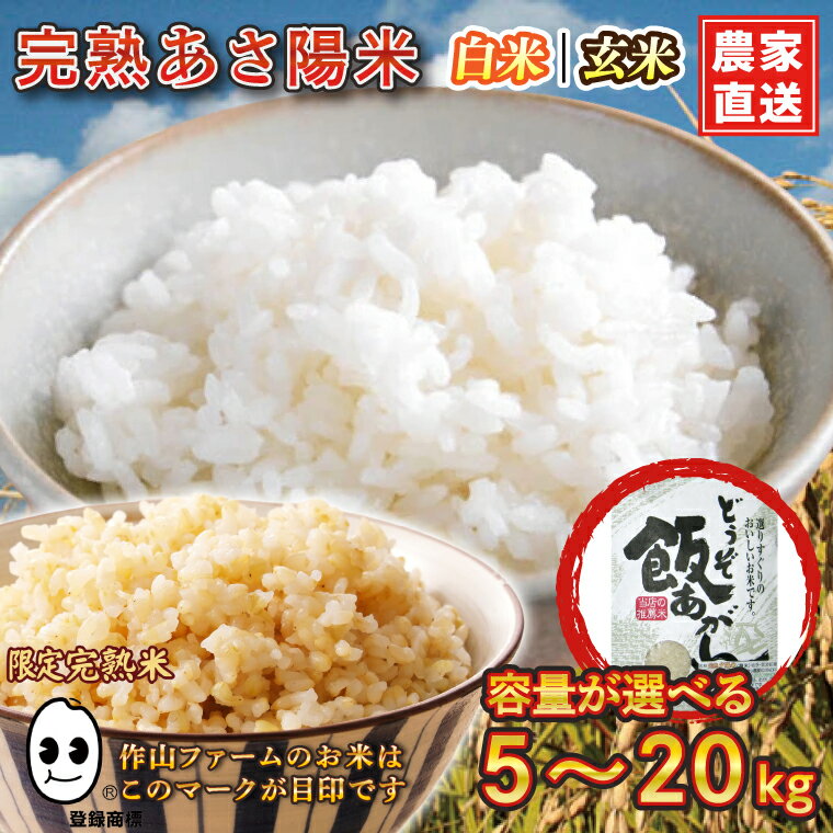 【ふるさと納税】＼選べる種類・サイズ／ ひとめぼれ 米 精米 玄米 岩手県紫波町産 特別栽培米 農家直送 令和7年産 「完熟あさ陽米 5kg 10kg 20kg( 精米 | 玄米 )」