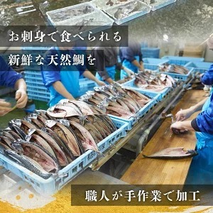 特大天然鯛ひものセット ※北海道・沖縄・離島への配送不可