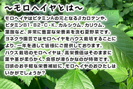 『先行予約』【12月上旬より順次発送】冬穫れハウスモロヘイヤ(100g×5袋)とアイスプラント(70g×5P)セット 2箱 ネバネバ 高栄養価 プチプチ新体験 定番おひたし 和洋中の各種スープ お肉・