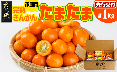 《先行受付!》 【家庭用】宮崎ブランド完熟きんかん「たまたま」1kg_LG-0101_(都城市) みやざきブランド 完熟きんかん たまたま Lサイズ 家庭用 糖度【16度以上】大きさ【直径2.8cm以上】