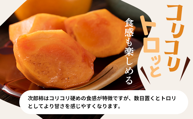 訳あり 長生き次郎柿「長寿郎（ちょうじゅろう）」2L～Mサイズ 5kg 20～28玉入り 12月発送 柿 かき 果物 くだもの フルーツ 次郎柿 静岡 静岡県 訳アリ 浜松市【配送不可：離島】