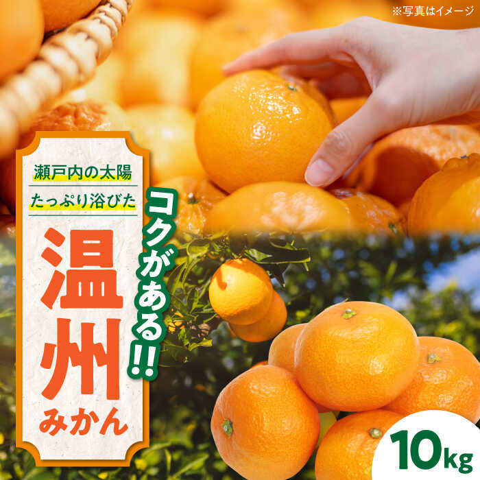 【ふるさと納税】【先行予約】【11月下旬から順次発送】 温州みかん（南柑20号） 10kg 大洲市/永沼農園[AGAW002] 先行予約 みかん ミカン 蜜柑 温州ミカン 温州みかん 果物 くだもの フルーツ 愛媛県産 大洲市産 産地直送 おすすめ 人気 お取り寄せ 送料無料 贈答 ギフト