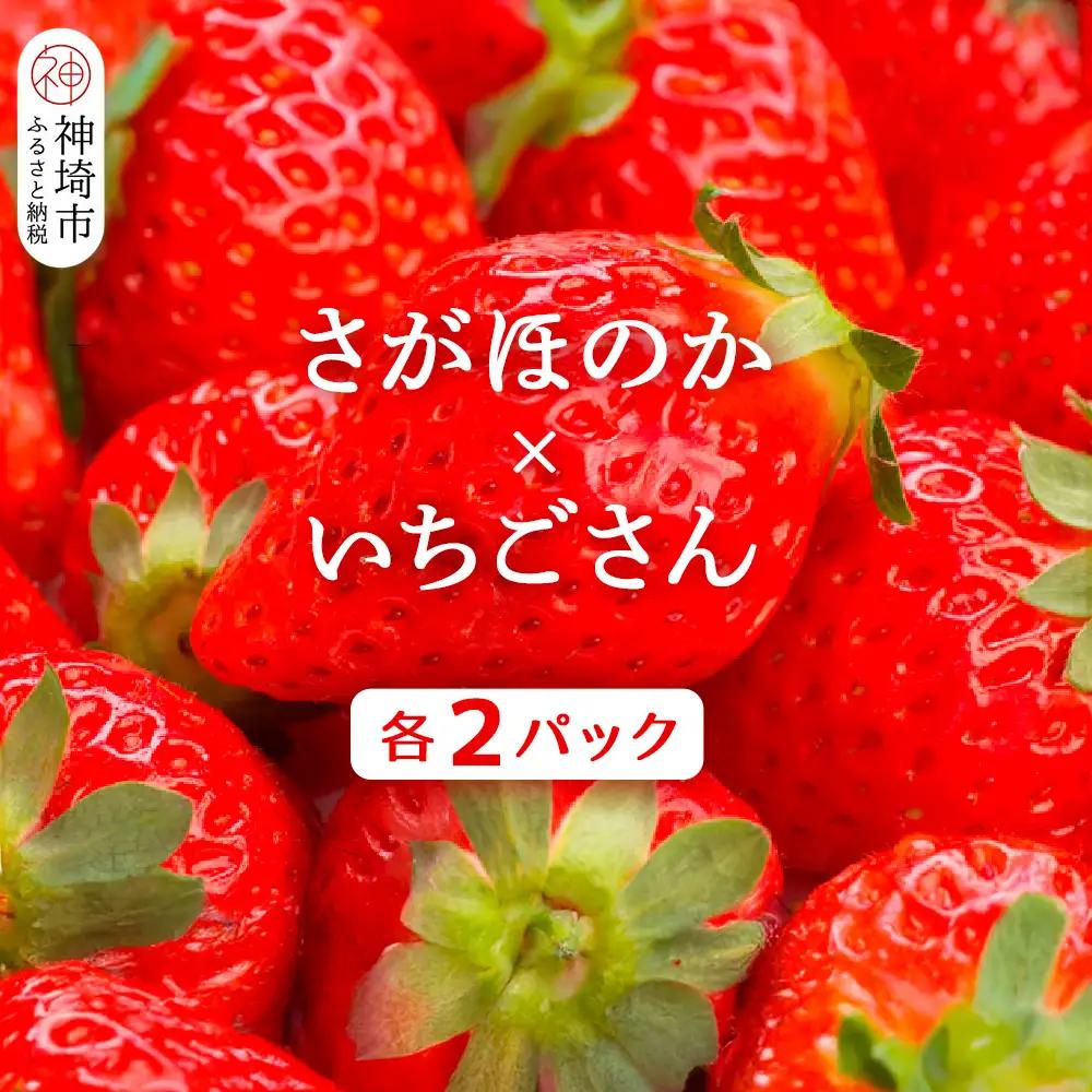 【2027年1月中旬より発送開始】苺(さがほのか・いちごさん)各2パック(H116136)