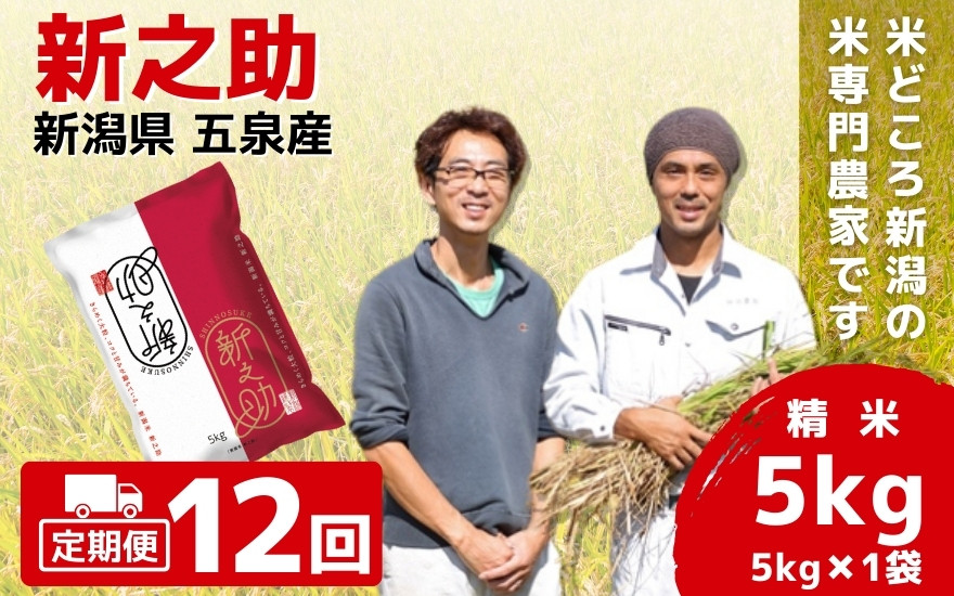 
【令和6年産新米】〈12回定期便〉「わくわく農場」の五泉産 精米 新之助 5kg (5kg×1袋) 新潟県 五泉市 わくわく農場 ［2024年10月下旬以降順次発送］
