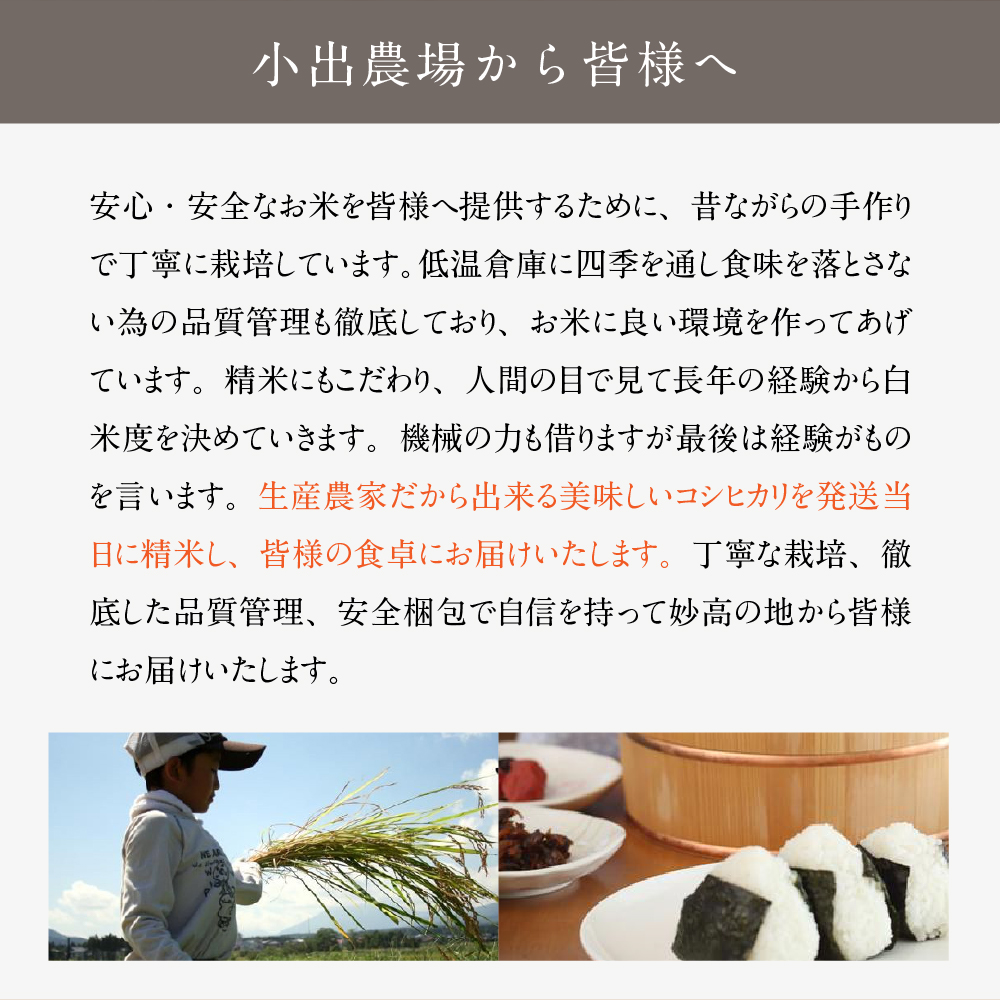 【2025年6月下旬発送】令和6年産 新潟県妙高産こしひかり「星降る里」5kg 無洗米