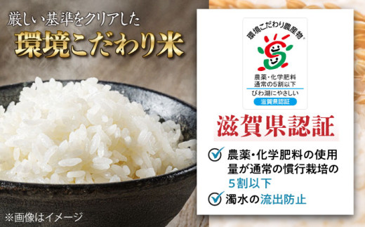特別栽培米 コシヒカリ 5kg ×2・環境こだわり米 ミルキークイーン 5kg (計15kg）米 お米 白米  15kg 人気