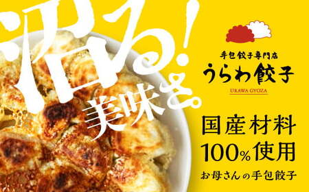 うらわ餃子　全種類食べ比べセット  レギュラー・しそ・旨辛・バジル＆チーズ各10個　【11100-0729】