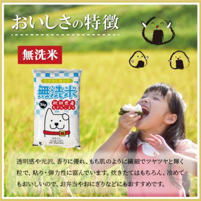 ふるさと納税 大館市 【定期便6ヶ月】令和7年産秋田県産あきたこまち(無洗米)5kg |  | 01