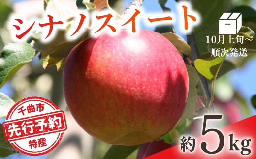 【2025年先行予約】りんご シナノスイート(長野県オリジナル品種) 約5kg 林檎 千曲市 長野県産 信州